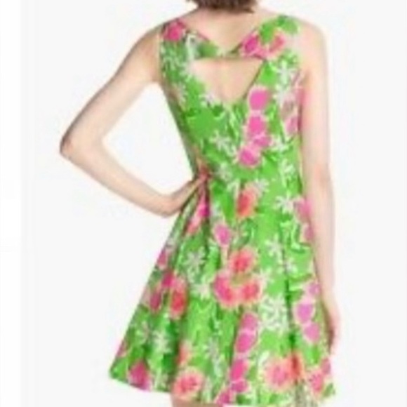 Lilly Pulitzer dress - Picture 3 of 8